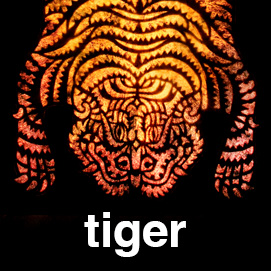 tiger collection